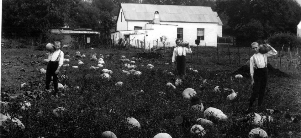 with an Engaging History that Beckons the Curious